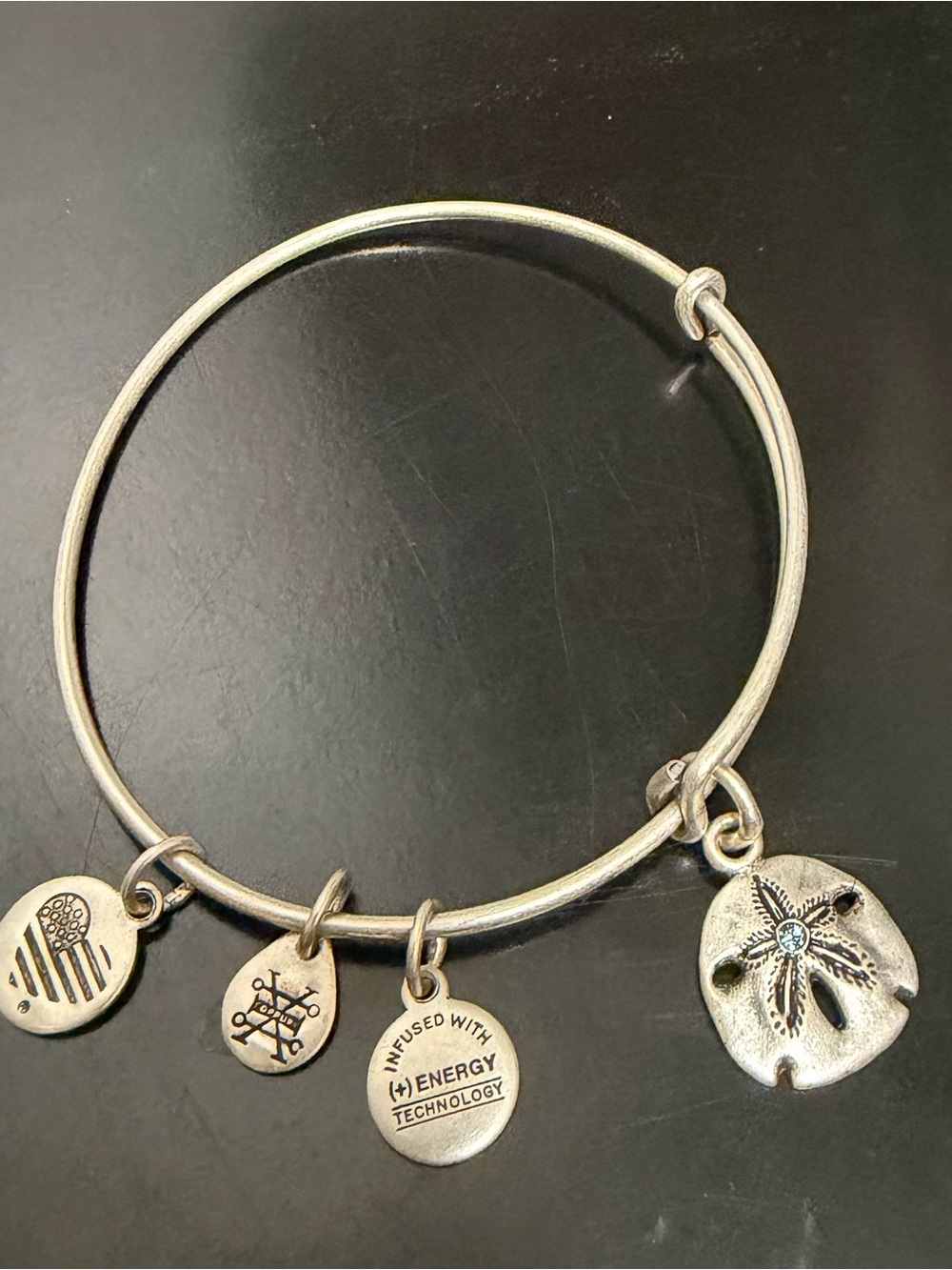 Alex and Ani Sand Dollar Silver Tone Expandable Charm Bangle Bracelet
